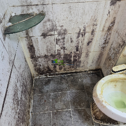 문질러 제거 작업중입니다.